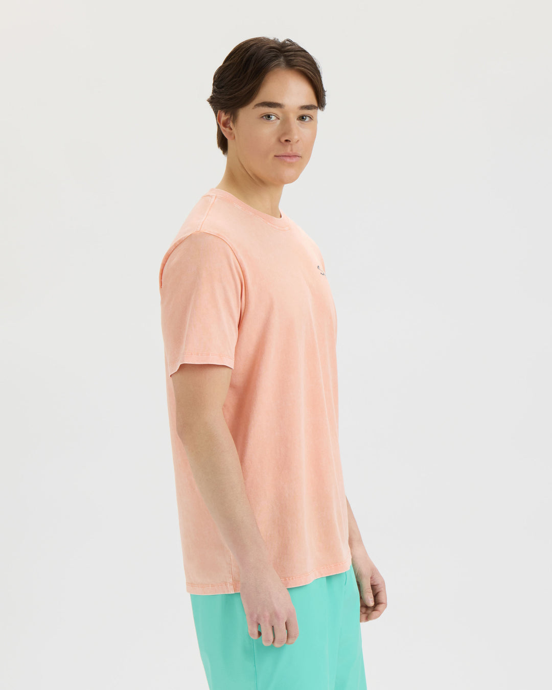 Men’s Pin Up Salt Wash Tee