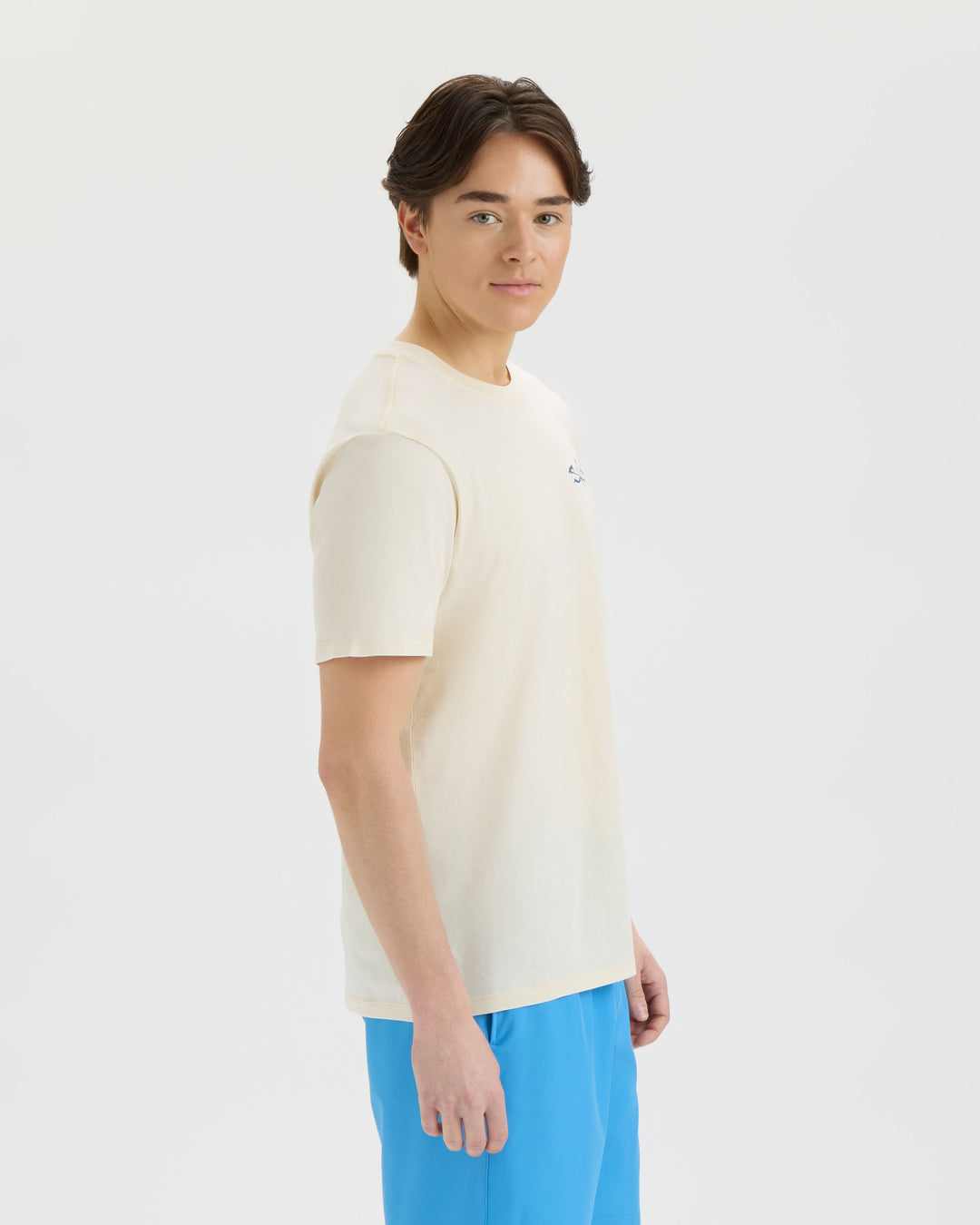 Men’s Sharks Americana Salt Wash Tee