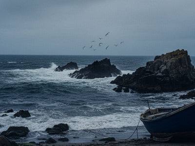 Salt Life Retail Store